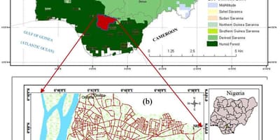 नाइजीरिया के नक्शे दिखा वनस्पति बेल्ट